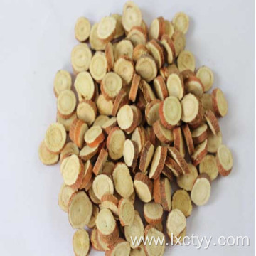 astragalus membranaceus extract tea